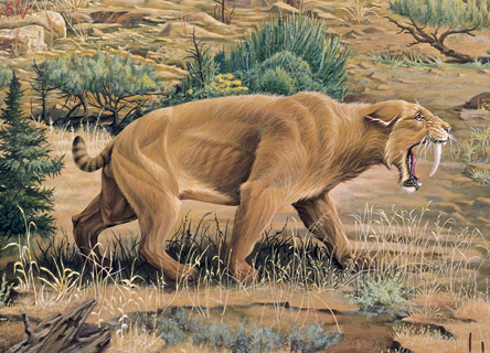 http://www.joevenusartist.com/Images/Saber-Tooth-Cat.jpg