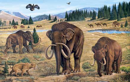   on Utah Ice Age Mammals