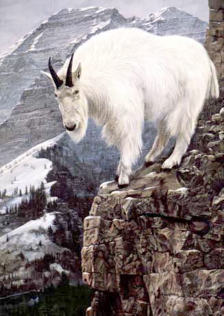 acrylic landscape paintings and prints