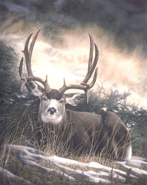acrylic landscape paintings and prints