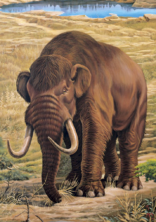 acrylic landscape paintings and prints